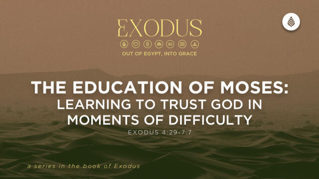Bay Leaf Exodus 3 15 26