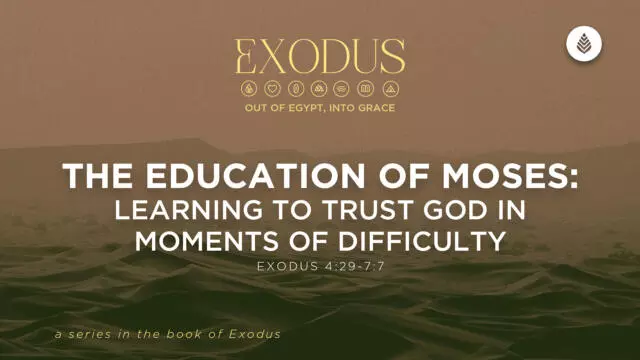 Bay Leaf Exodus 3 15 26