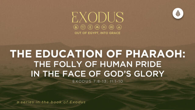 Bay Leaf Exodus 3 22 26