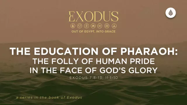 Bay Leaf Exodus 3 22 26