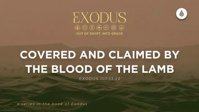 Bay Leaf Exodus 3 29 26