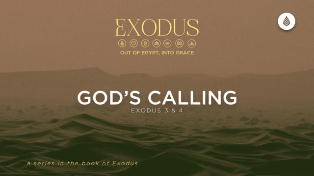 Bay Leaf Exodus 3 8 26