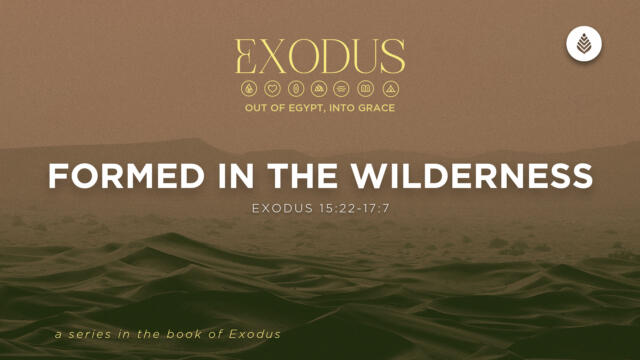 Bay Leaf Exodus 4 12 26