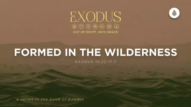 Bay Leaf Exodus 4 12 26