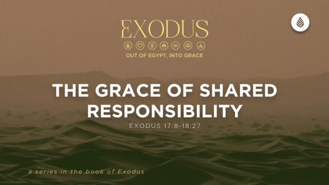 Bay Leaf Exodus 4 19 26