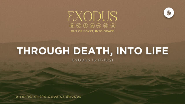 Bay Leaf Exodus 4 5 26