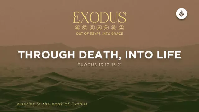 Bay Leaf Exodus 4 5 26