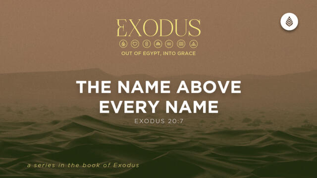 Bay Leaf Exodus 5 17 26