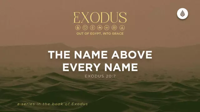 Bay Leaf Exodus 5 17 26