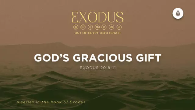 Bay Leaf Exodus 5 24 26