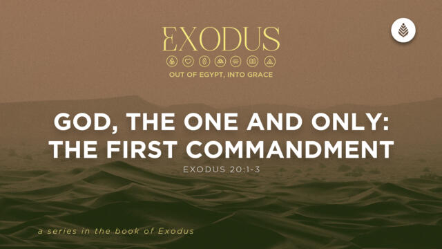 Bay Leaf Exodus 5 3 26