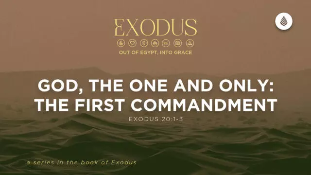 Bay Leaf Exodus 5 3 26