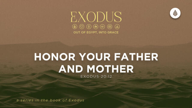 Bay Leaf Exodus 5 31 26