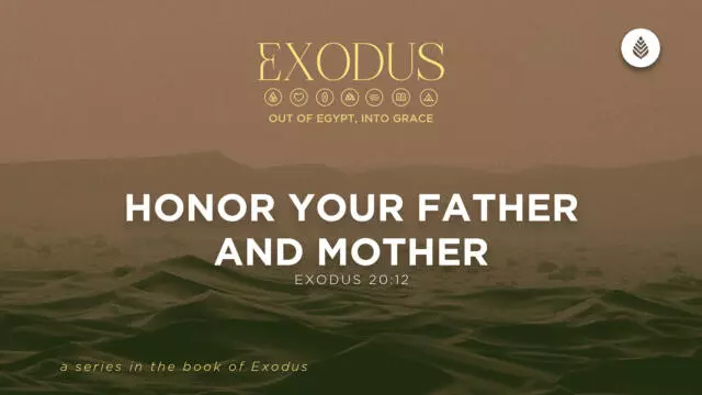 Bay Leaf Exodus 5 31 26