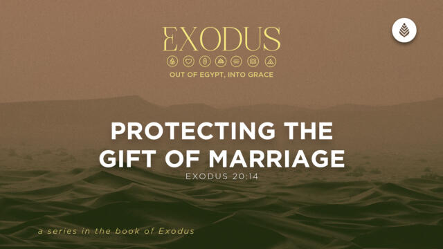 Bay Leaf Exodus 6 14 26