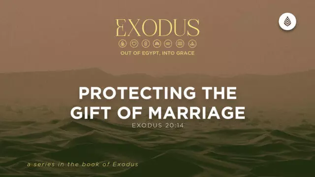 Bay Leaf Exodus 6 14 26