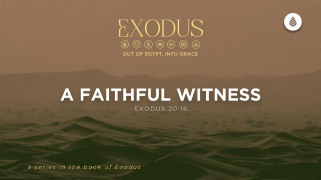 Bay Leaf Exodus 6 28 26