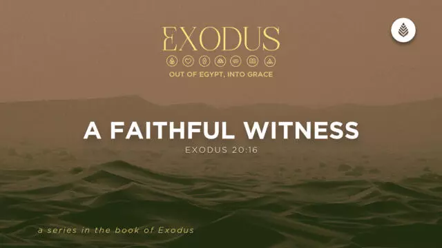 Bay Leaf Exodus 6 28 26