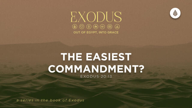 Bay Leaf Exodus 6 7 26