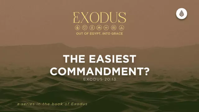Bay Leaf Exodus 6 7 26