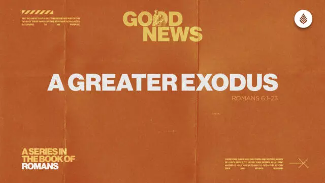 Bay Leaf Good News 2025 3 16 25