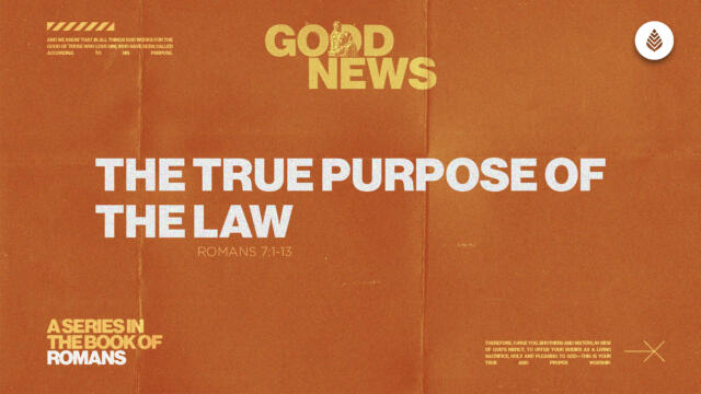 Bay Leaf Good News 2025 3 23 25