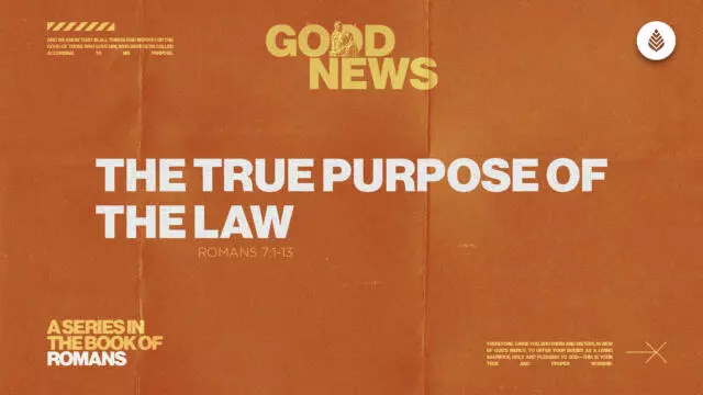 Bay Leaf Good News 2025 3 23 25