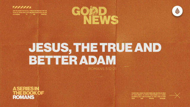 Bay Leaf Good News 2025 3 9 25