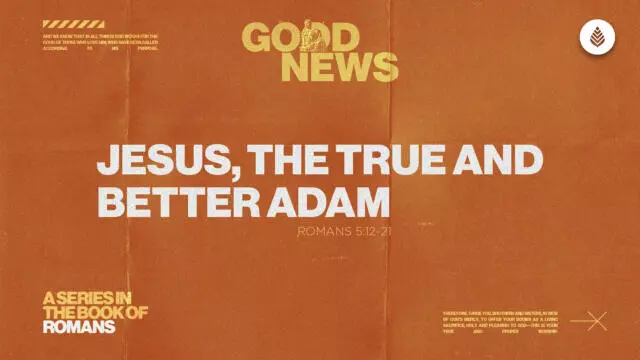 Bay Leaf Good News 2025 3 9 25