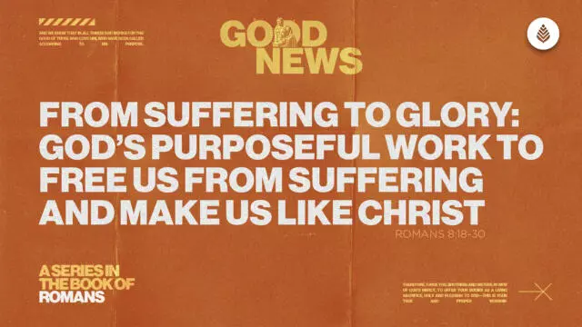 Bay Leaf Good News 2025 4 13 25