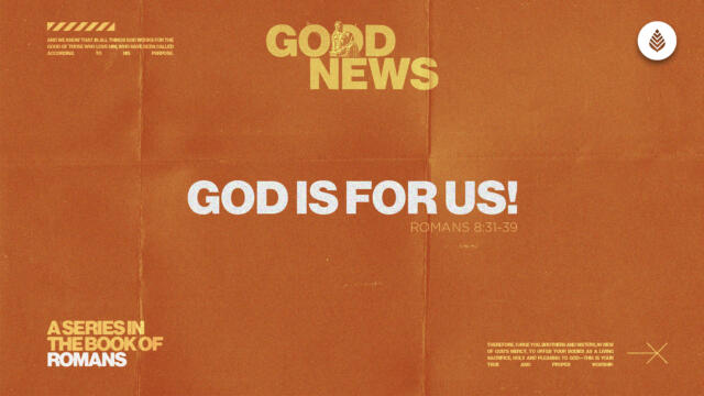 Bay Leaf Good News 2025 4 20 25