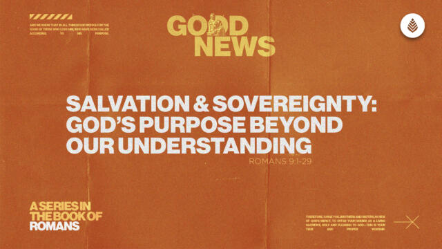 Bay Leaf Good News 2025 4 27 25