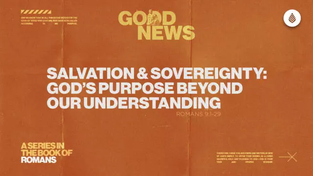 Bay Leaf Good News 2025 4 27 25