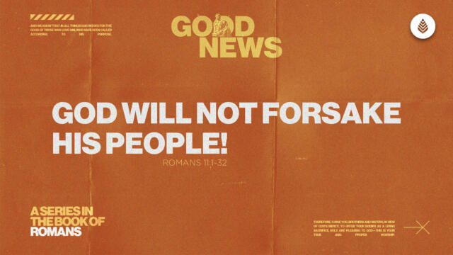 Bay Leaf Good News 2025 5 18 25