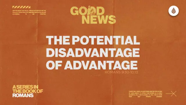 Bay Leaf Good News 2025 5 4 25