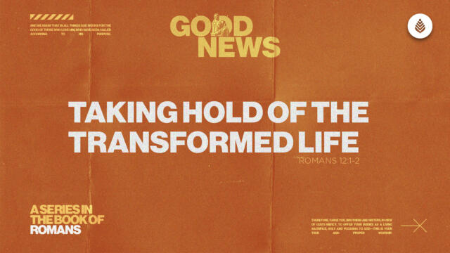 Bay Leaf Good News 2025 6 1 25