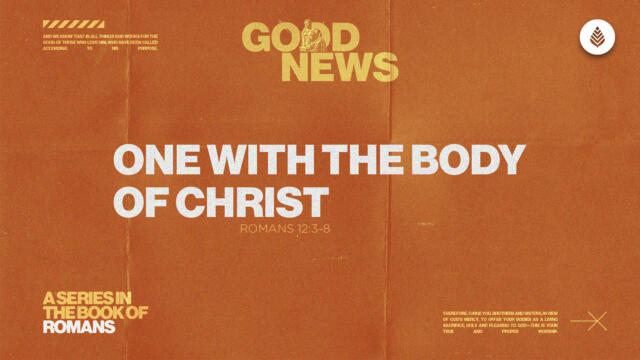 Bay Leaf Good News 2025 6 8 25