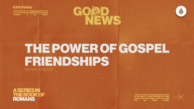 Bay Leaf Good News 2025 8 3 25