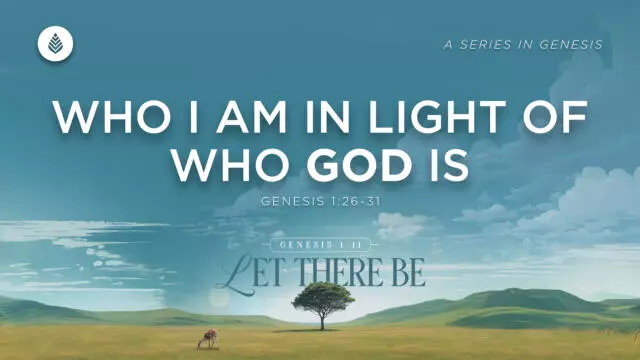 Bay Leaf Let There Be 1 11 26