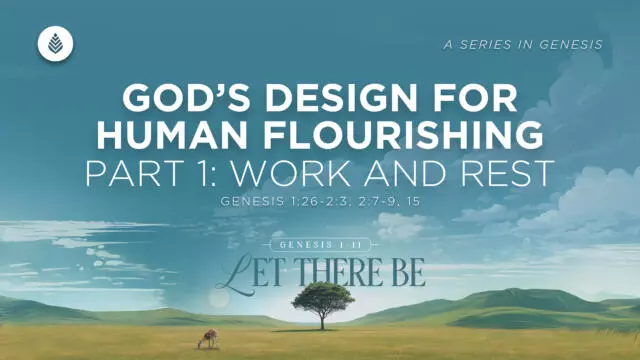 Bay Leaf Let There Be 1 18 26