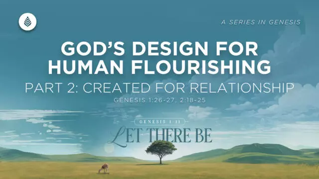 Bay Leaf Let There Be 1 29 26