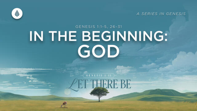 Bay Leaf Let There Be 1 4 26