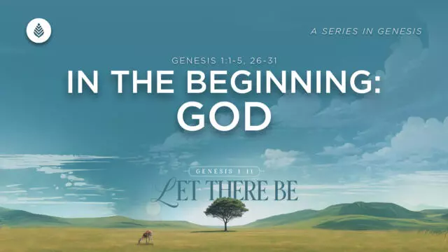 Bay Leaf Let There Be 1 4 26