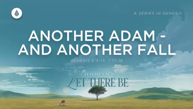 Bay Leaf Let There Be 2 15 26