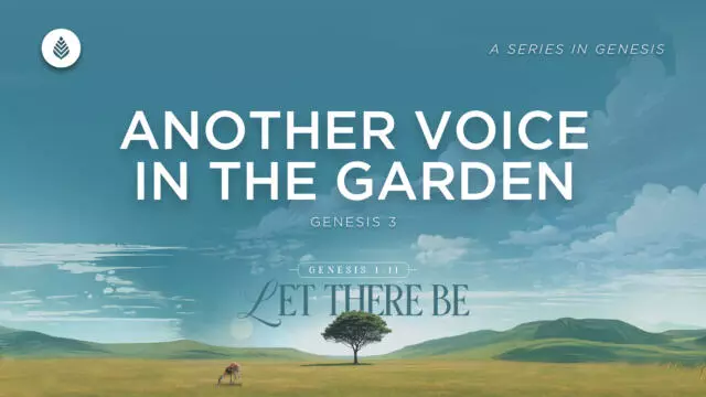 Bay Leaf Let There Be 2 8 26