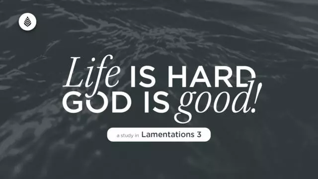 Bay Leaf Life is Hard God is Good 10 5 25