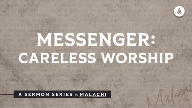 Bay Leaf Messenger 2023 11 19 23