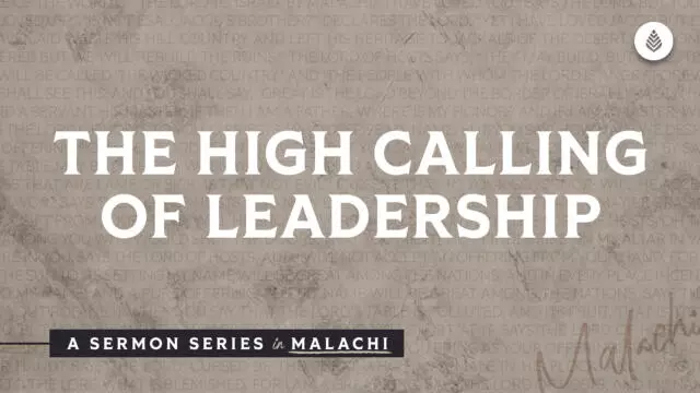 Bay Leaf Messenger 2023 11 26 23