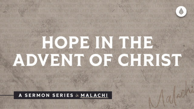 Bay Leaf Messenger 2023 12 10 23