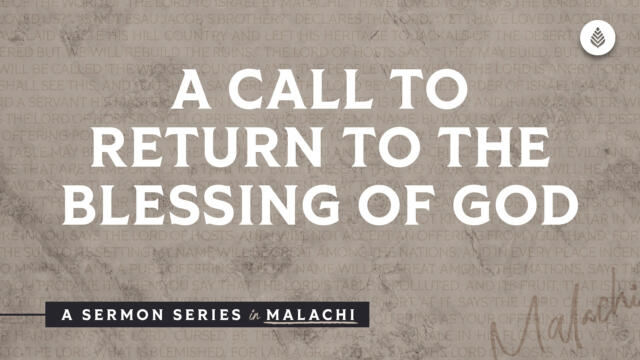 Bay Leaf Messenger 2023 12 17 23